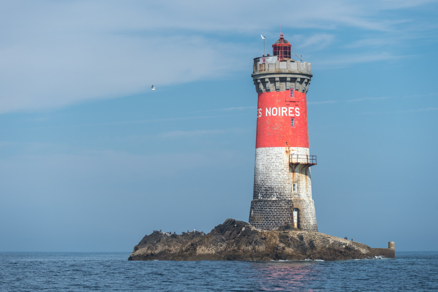 Rade de Brest, Iroise Explorer Excursions en mer Presqu'île de Crozon, Bretagne, Finistère