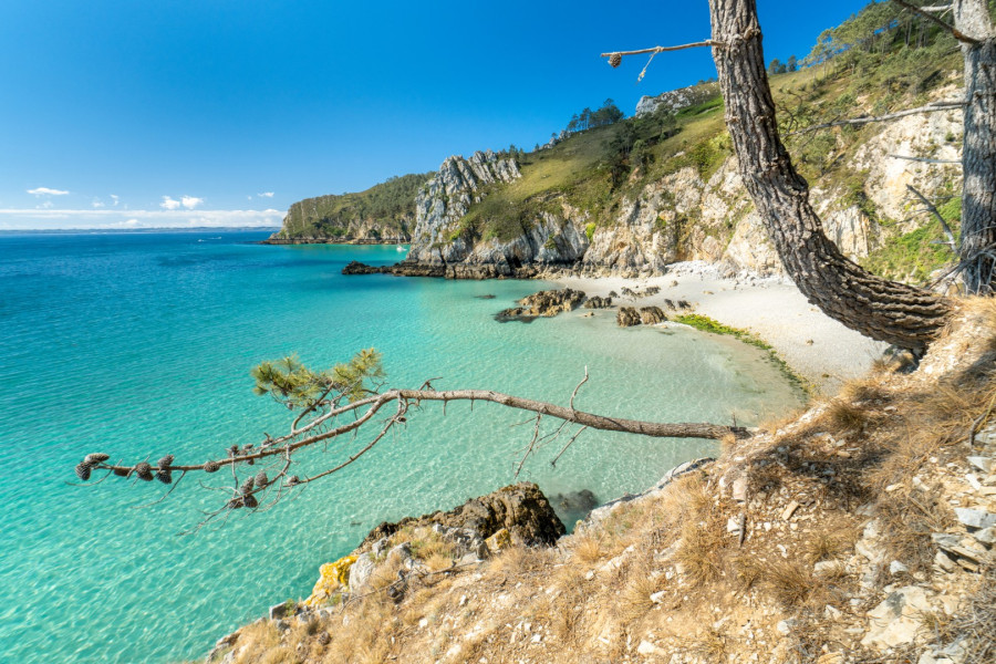 Rade de Brest, Iroise Explorer Excursions en mer Presqu'île de Crozon, Bretagne, Finistère